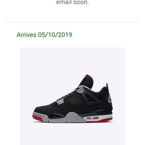 Jordan 4 "Bred"